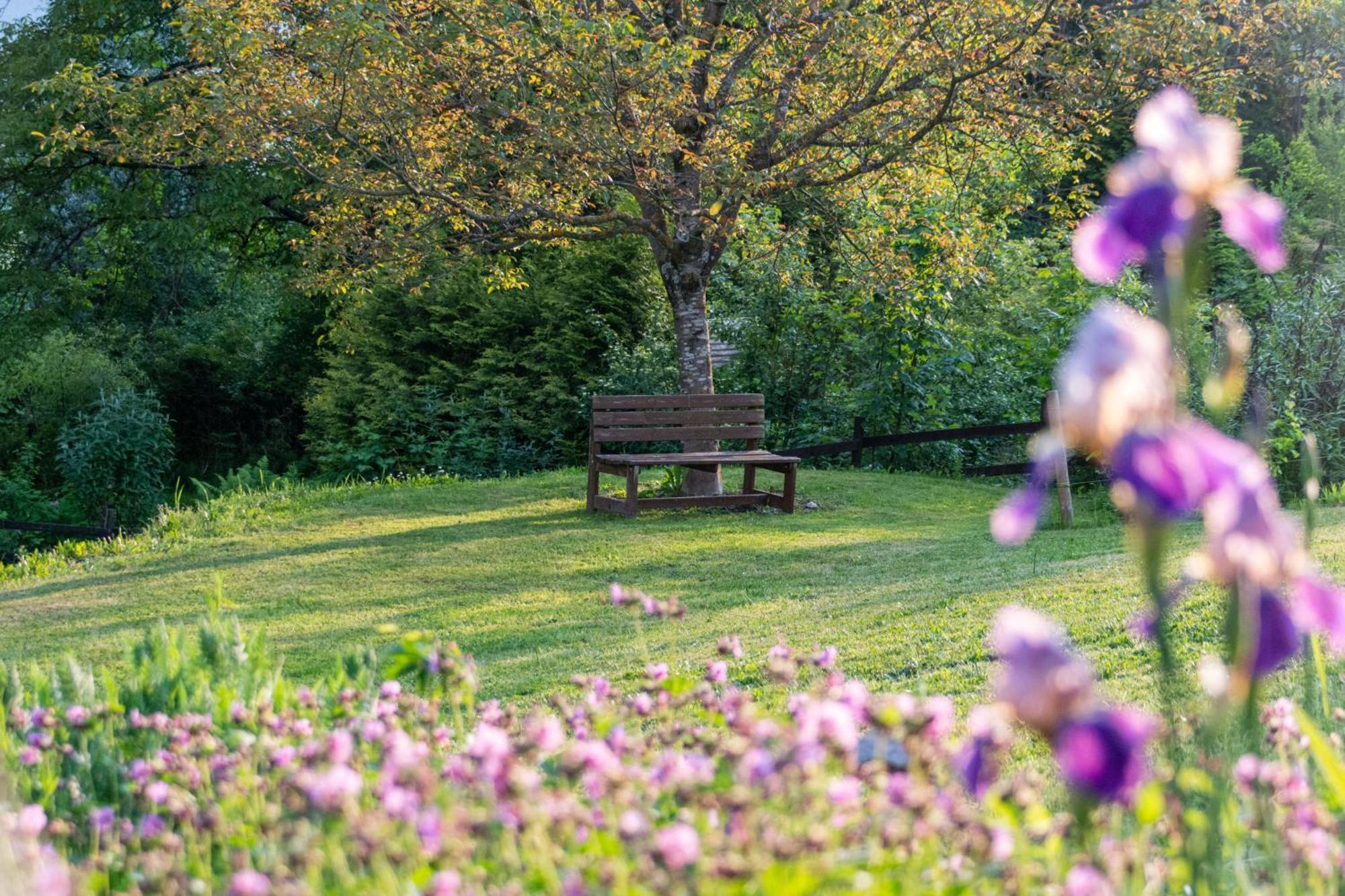 Gartenlodge Auszeit Нёч Экстерьер фото