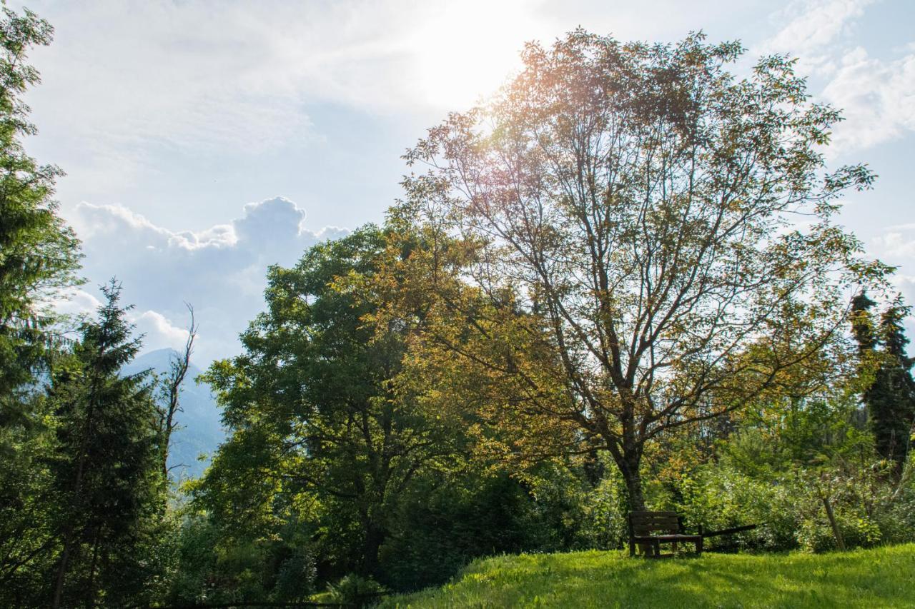 Gartenlodge Auszeit Нёч Экстерьер фото